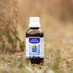 PUUR Intestine 2025 sfeer – productfoto