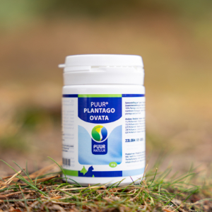 PUUR Plantago ovata 2025 sfeer – productfoto (3)