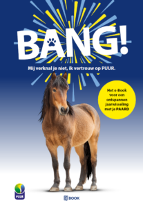 vuurwerkangst paard