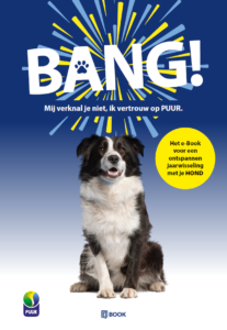 Vuurwerkangst bij honden