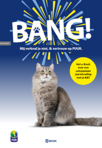 Vuurwerkangst bij katten