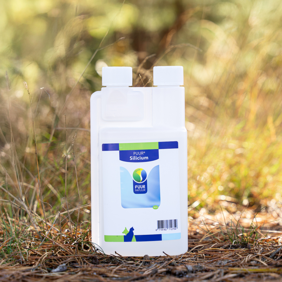 PUUR Silicium 2025 sfeer - productfoto (2)