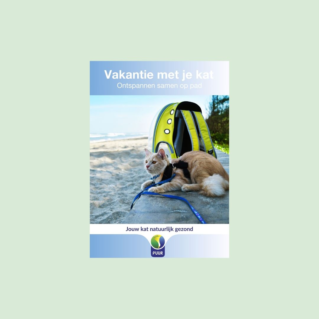 Vakantie kat