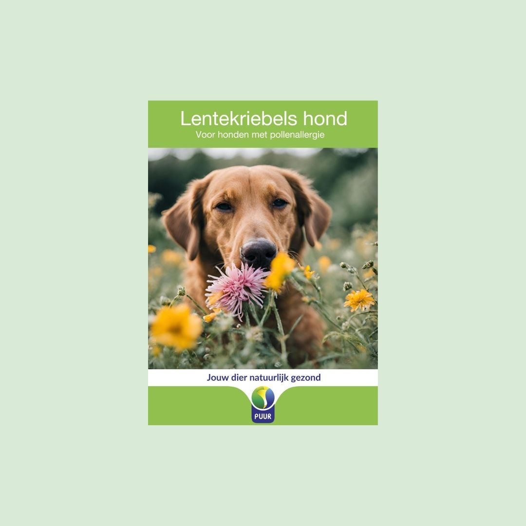 Lentekriebels hond
