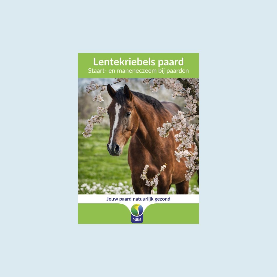 Lentekriebels paard