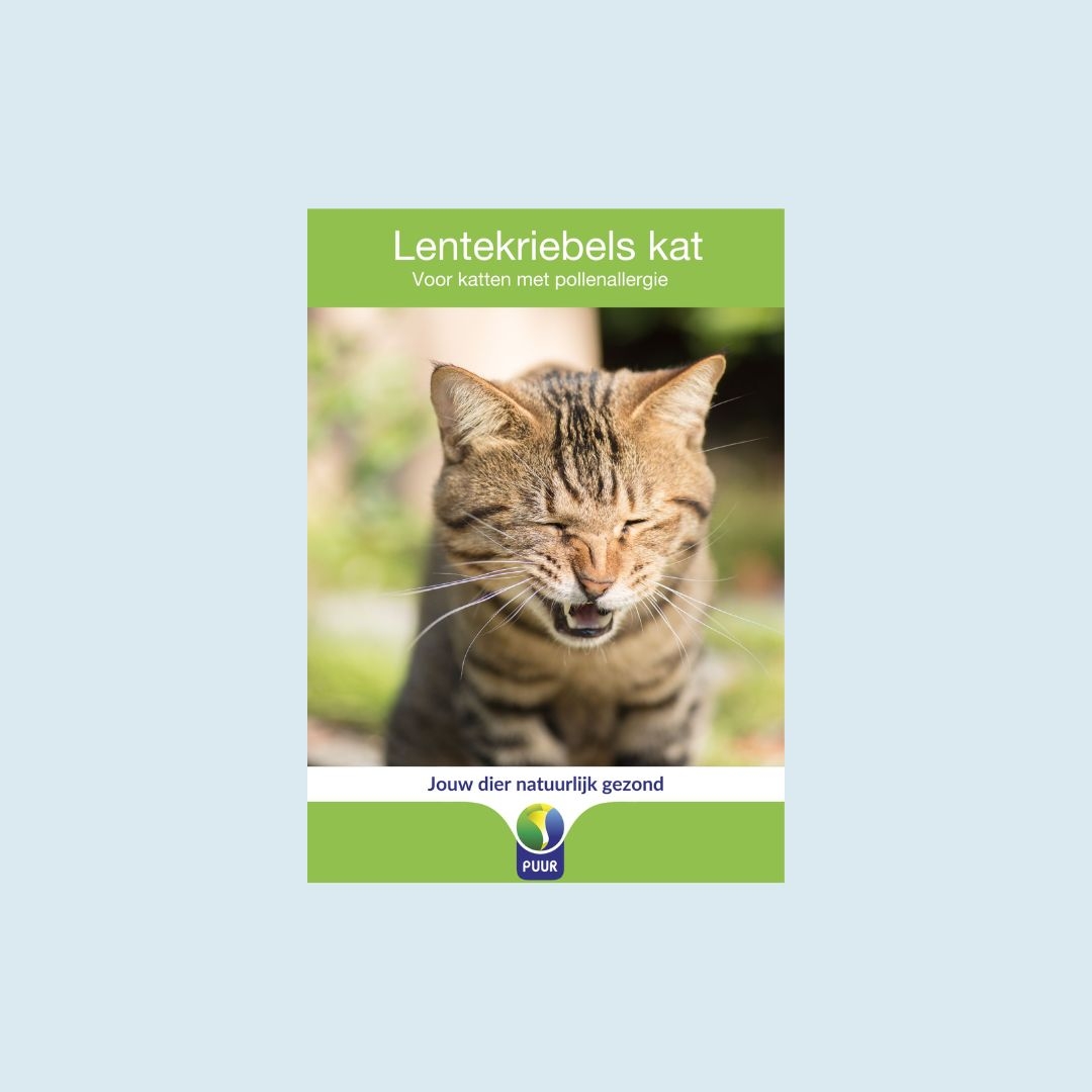 Lentekriebels kat (3)