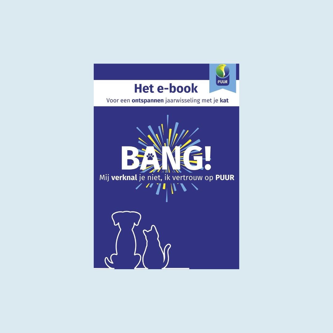 Bang hond