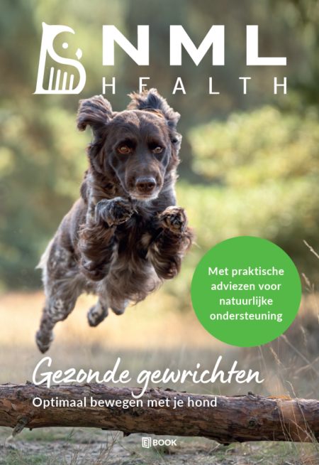 E-book Gezonde gewrichten hond afbeelding