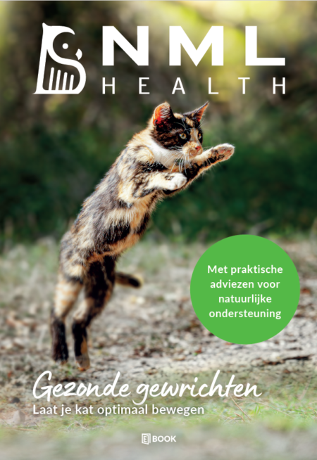 E-book Gezonde gewrichten kat afbeelding
