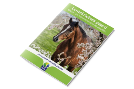 E-book Lentekriebels paard afbeelding