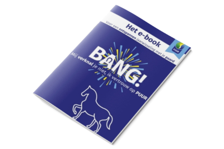 E-book Bang Paard afbeelding