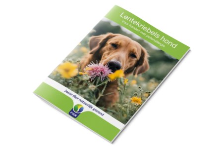 E-book Lentekriebels hond afbeelding