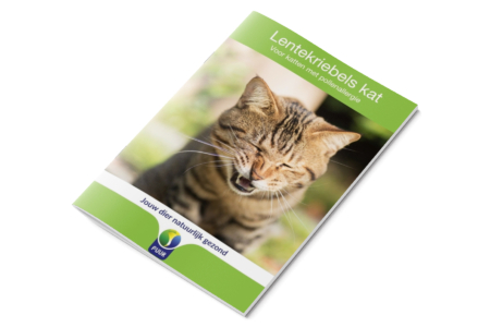 E-book Lentekriebels kat afbeelding