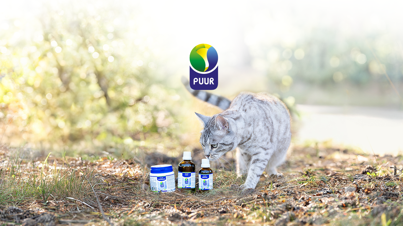 headerplaat-website-puur