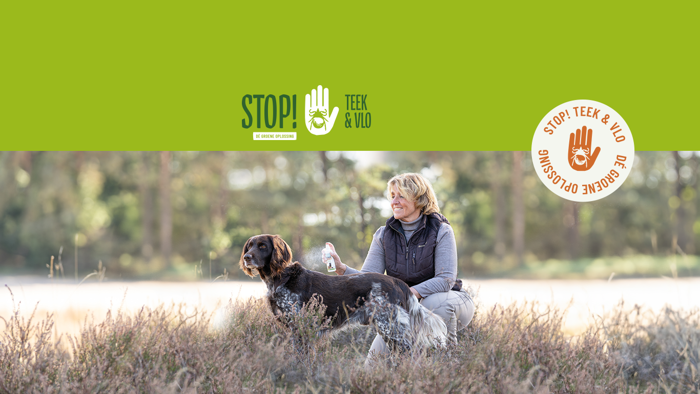 headerplaat-website-stop