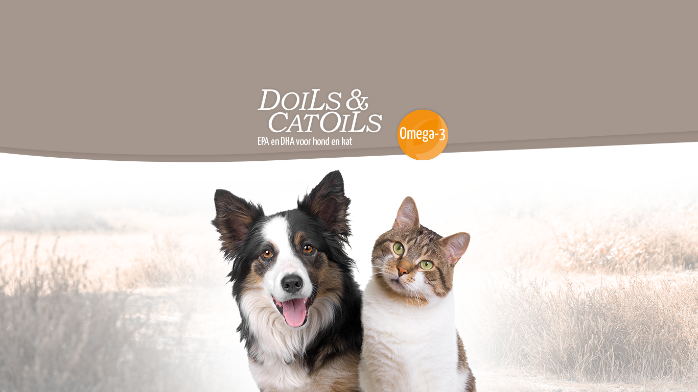 headerplaat-website-doils