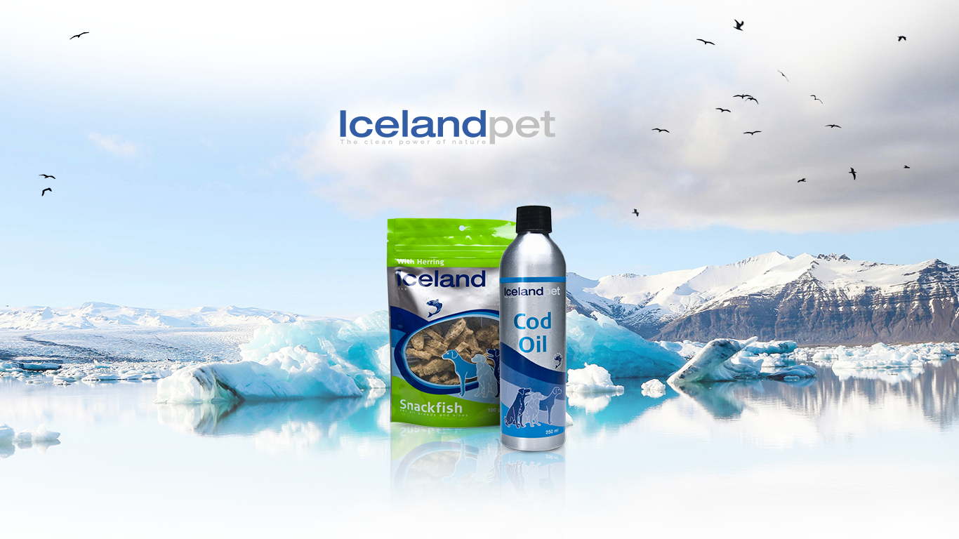 headerplaat-website-icelandpet