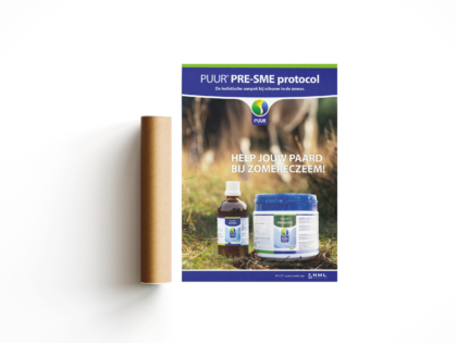 PRE-SME_Poster