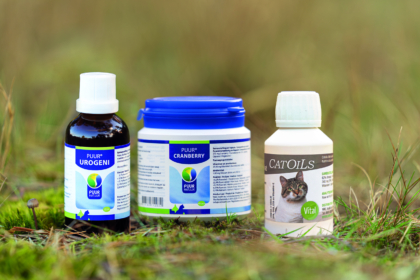 Blaasbundel voor katten